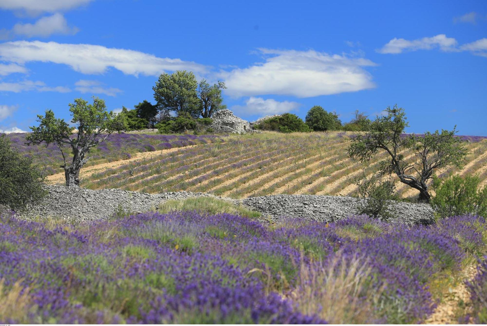 Gite De L'Aspa Saint-Christol  الغرفة الصورة
