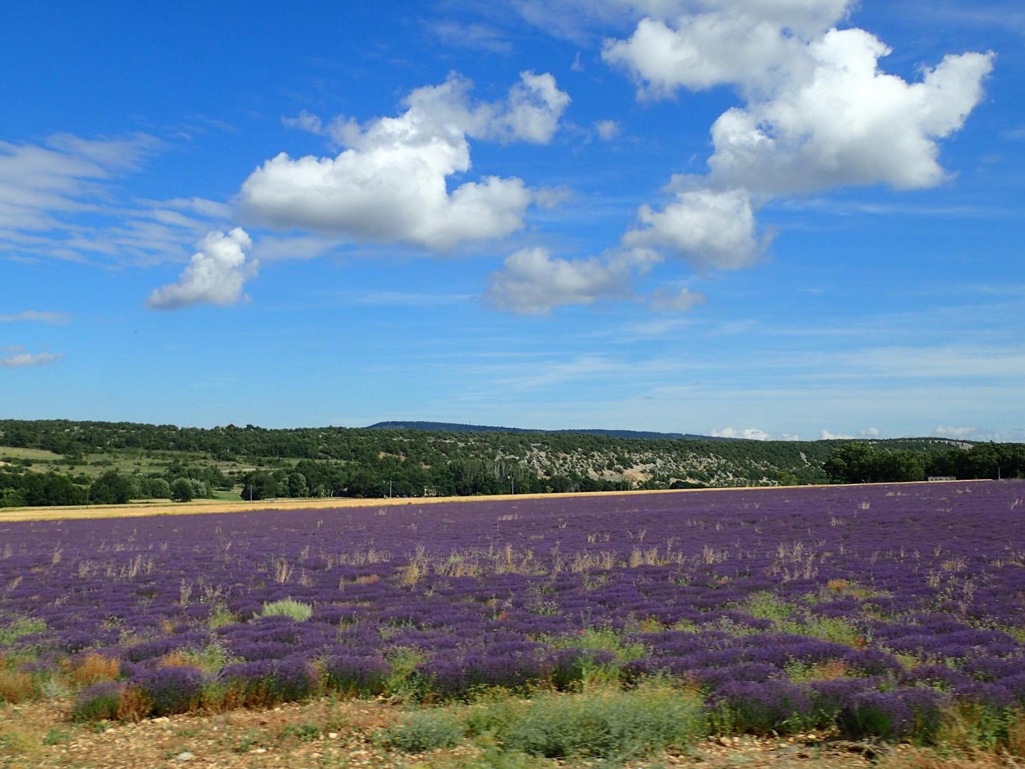 Gite De L'Aspa Saint-Christol  المظهر الخارجي الصورة