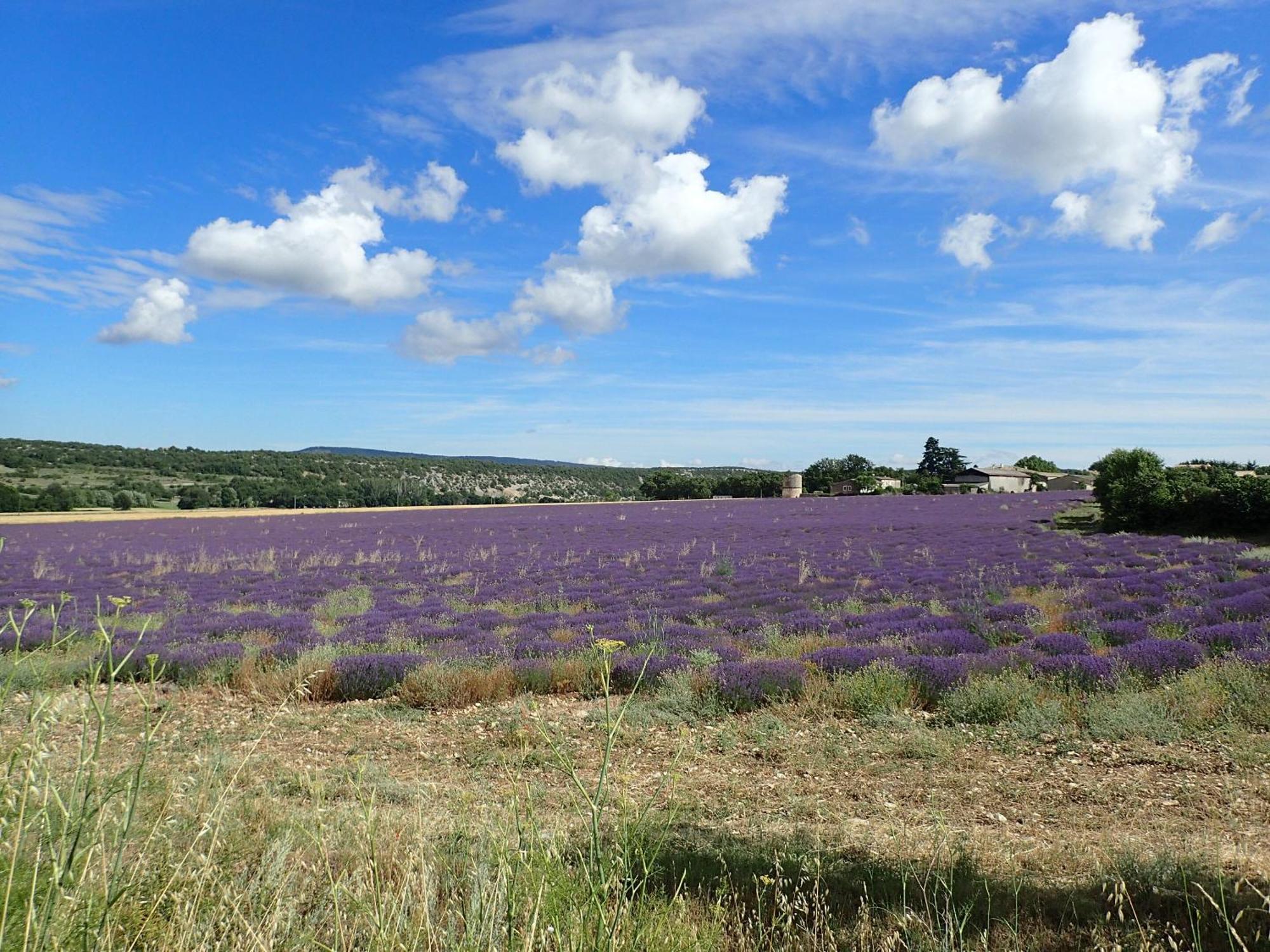 Gite De L'Aspa Saint-Christol  المظهر الخارجي الصورة